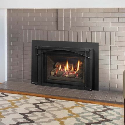 Regency® Liberty® LRI4E Gas Insert